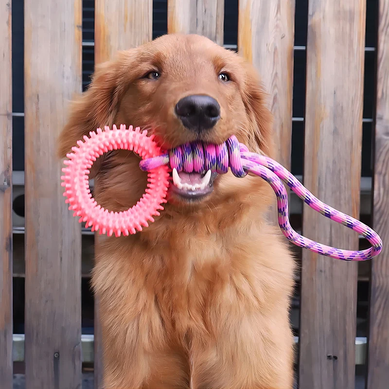 

Dog Toys Chew Toys for Dogs Interactive Training Pet Toy Ring Spiked Ring Dog Teeth Cleaning Pet Supplies