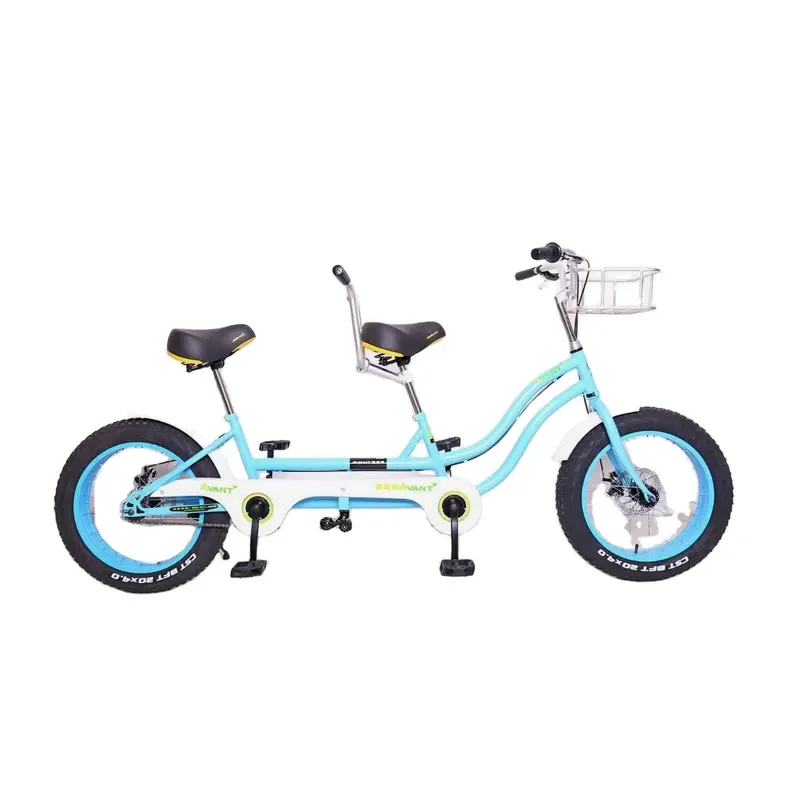 Hot Sale Fat Tire Two Person Snow Bike Beach Bike Bike