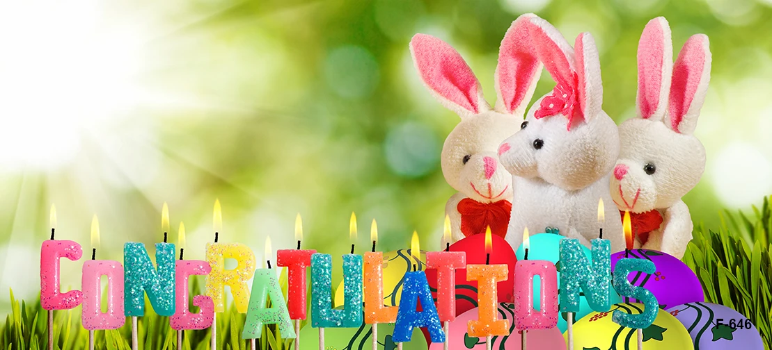 Placas de madeira Placas para cenários de Páscoa, flores coloridas diferentes, ovos florais, florais, Fence Sunshine, Spring Backgrounds, photocall