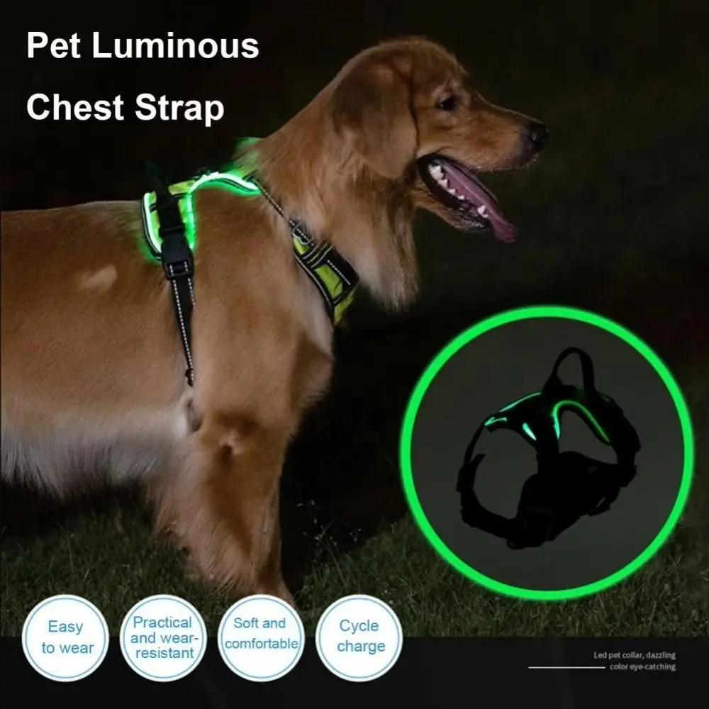 Light Up LED Dog Harness Adjustable Rechargeable Luminous Pet Chest Strap Padded Collar Flashing Dog Glow Vest Cats Pet