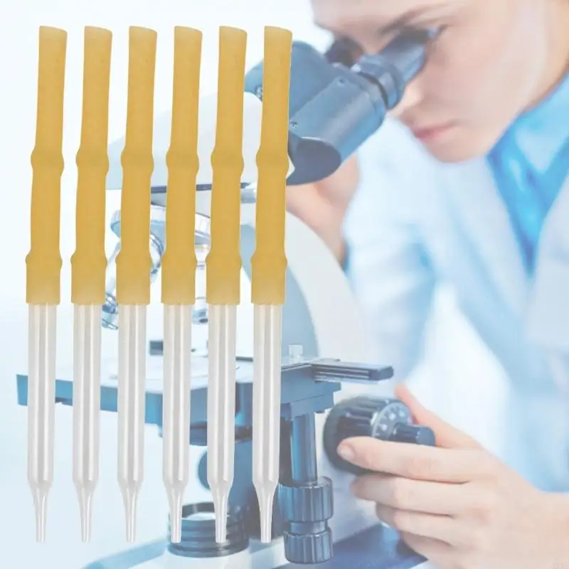 2025 6 PCs Pipetes Laboratório Laboratório Labor