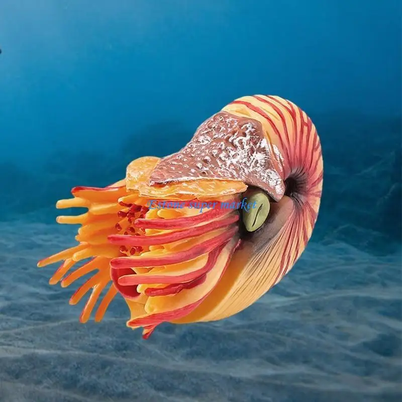 

090b миниатюрная модель морских животных Морская фигура Hermitcrab Интерактивная реалистичная статуя