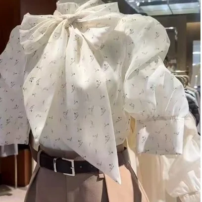 

Прозрачная шифоновая блузка с пышными рукавами в японском стиле, повседневная, приталенная, с длинными рукавами, женская