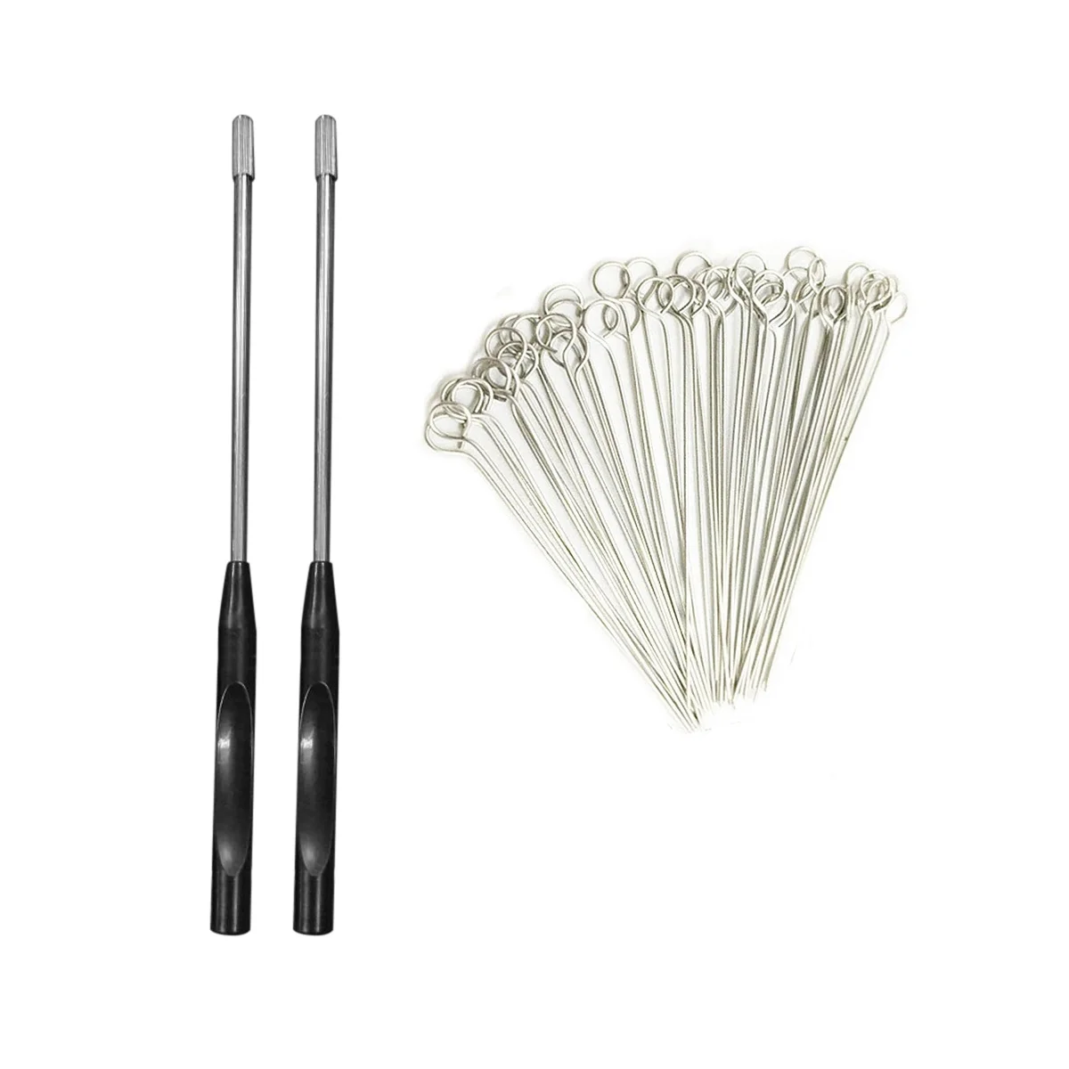 Quality 2PCS Reusable Inoculating Loop Holders with 50Pcs 10UL Nichrome Needle Tips Inoculation Loop for Lab