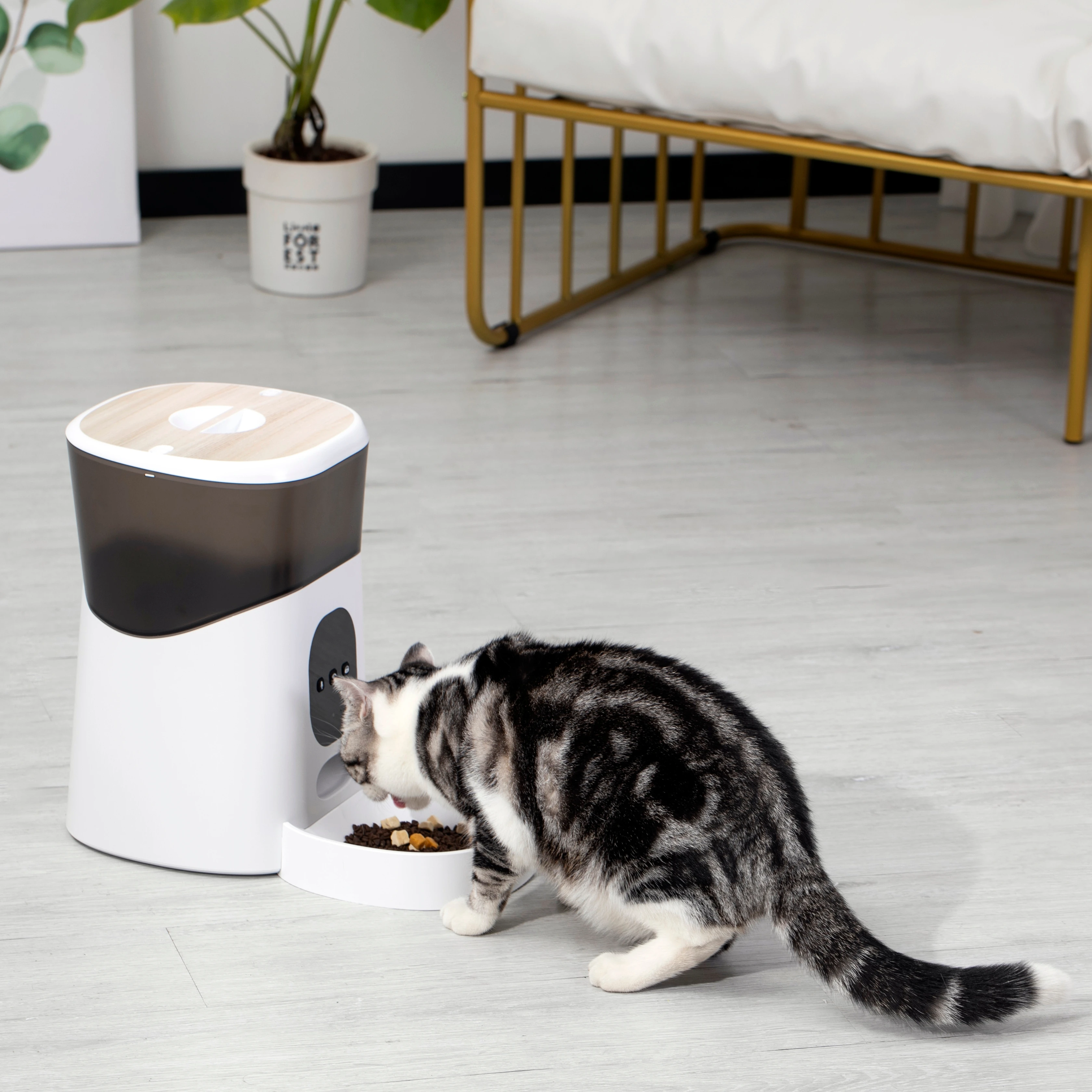 Wifi connect auto timed automatic smart pet feeder food container dispenser High quality Mobile Phone App Remote Control Microc