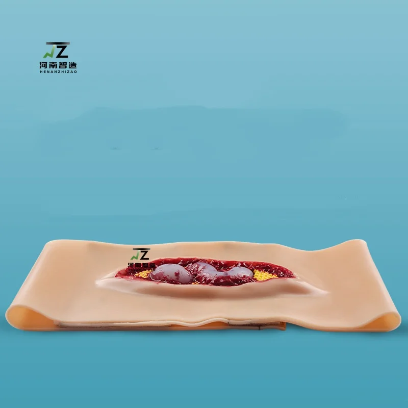 

Новая модель тренировки ран на анатомии живота 2025 года для медицинского преподавания и обучения, модель экстренной моделирования, которую можно носить.