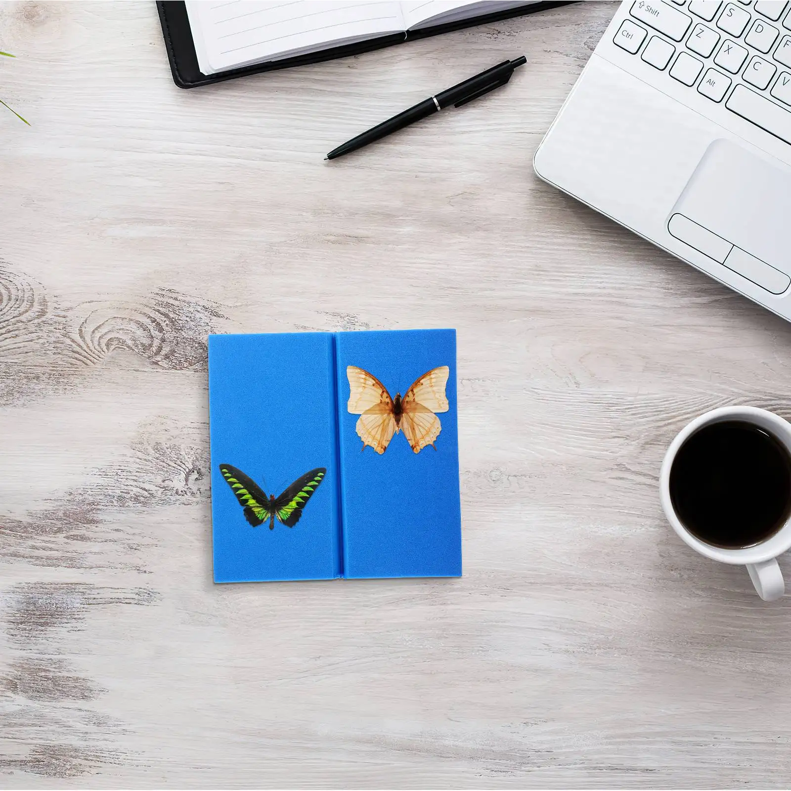 Fin Spread Board Butterfly Specimen Display Spreading High Density Insect Pinning Kit Eva Foam