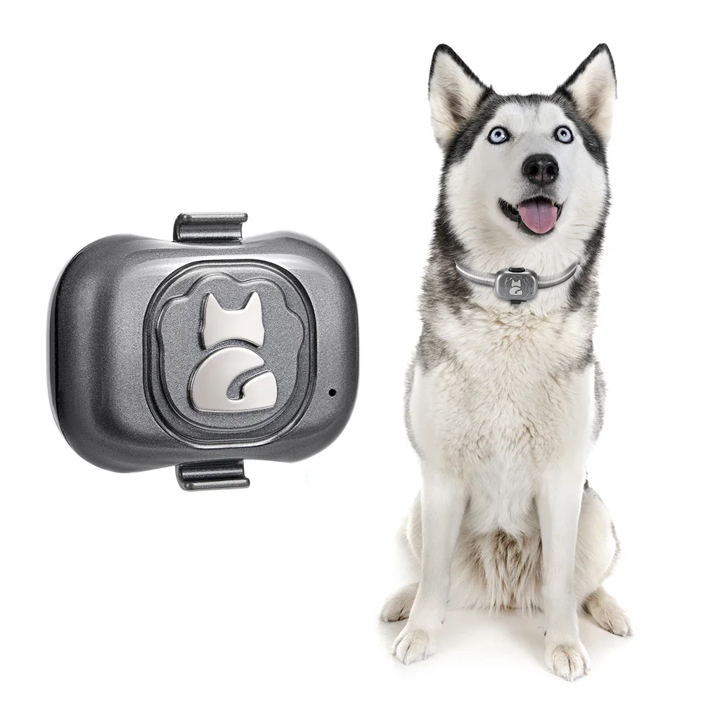 

Latest IP67 Waterproof Mini GPS Pet Collar Anti-lost Real Time Tracking Dog Cat Locator