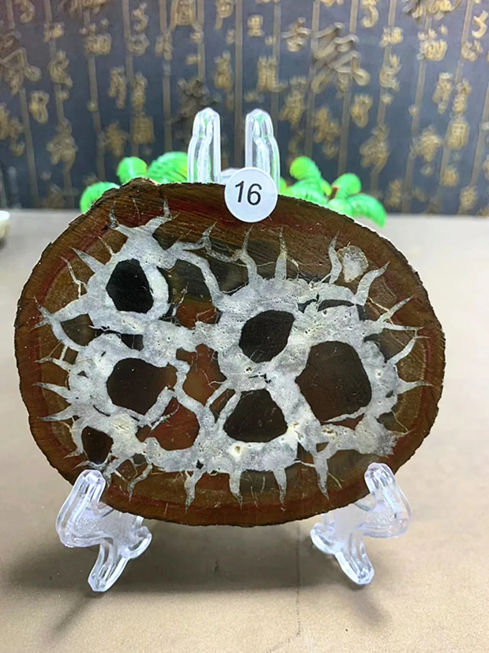 S5 Caja Marroquilla…