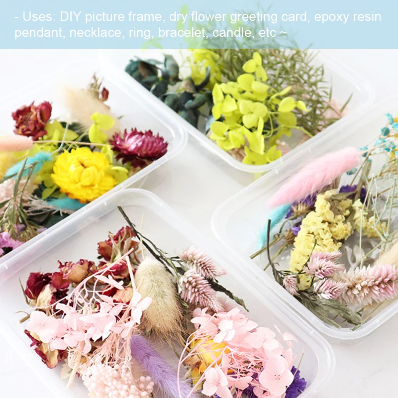 1 caixa de flores secas naturais misturadas flores secas material diy arte decorações florais coleção presente artesanato diy decoração para casa