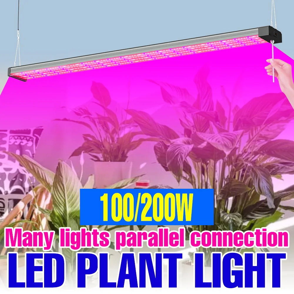 

200W LED Plant Grow Light 220V Full Spectrum Quantum Board 110V Indoor Hydroponic Greenhouse Vegetables Cultivation Growth Lamps