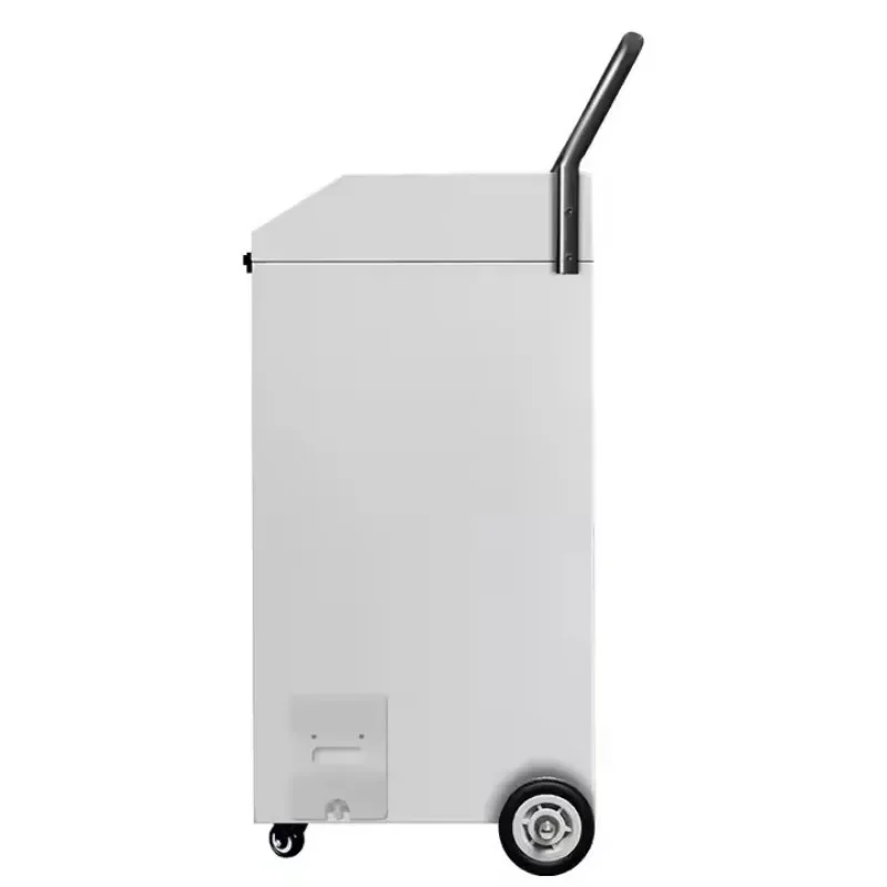 Портативный европейский автомобильный комнатный коммерческий осушитель воздуха 60ld промышленный осушитель для теплицы