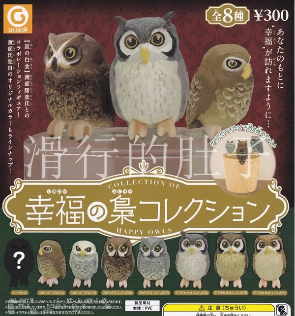 

SHINE-G Japan Gashapon Figure Cute Kawaii Happy Owl Miniature Figurine Anime Gachapon Capsule Toys Creativity Gift