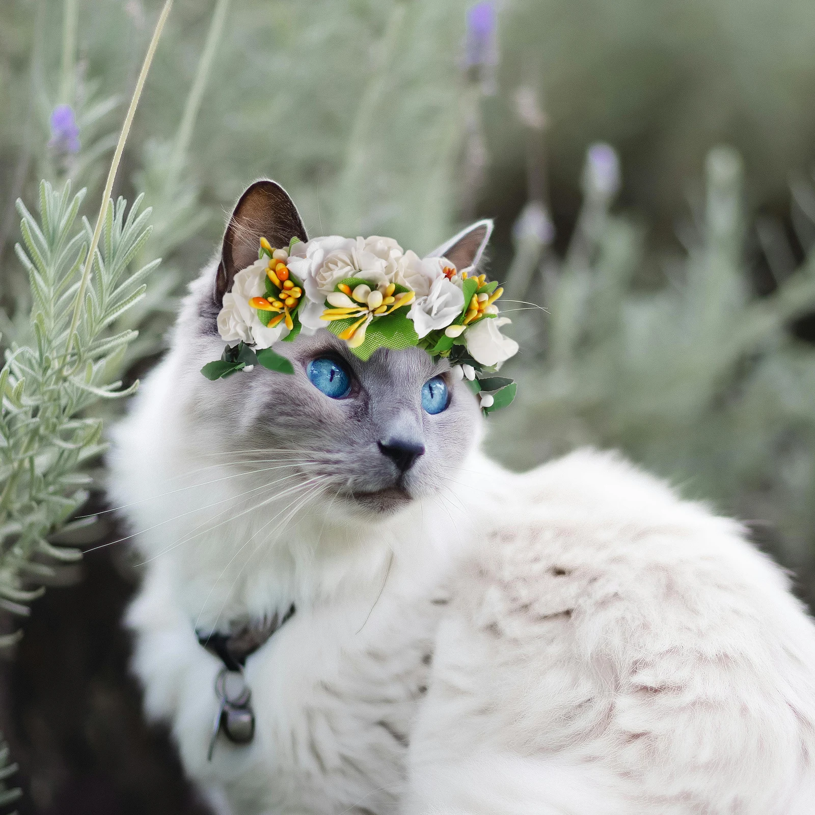 

Delicate Design Pet Reusable Cat Wreath Adorable Dog Flower Costume Kitten Collar Cartoon Puppy Collar Comfortable Pet Flower