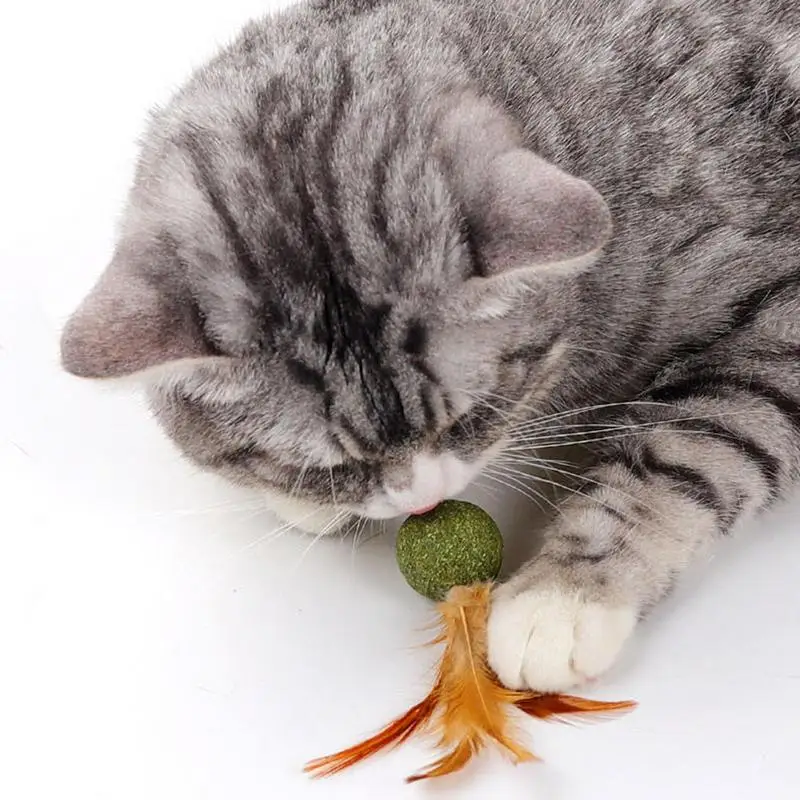 Cat Toy Ball Feather Funny Cat Mint Ball Plus Feather Mint Ball Throwing Toys Interactive Plush Toys Catnip Pet Supplies