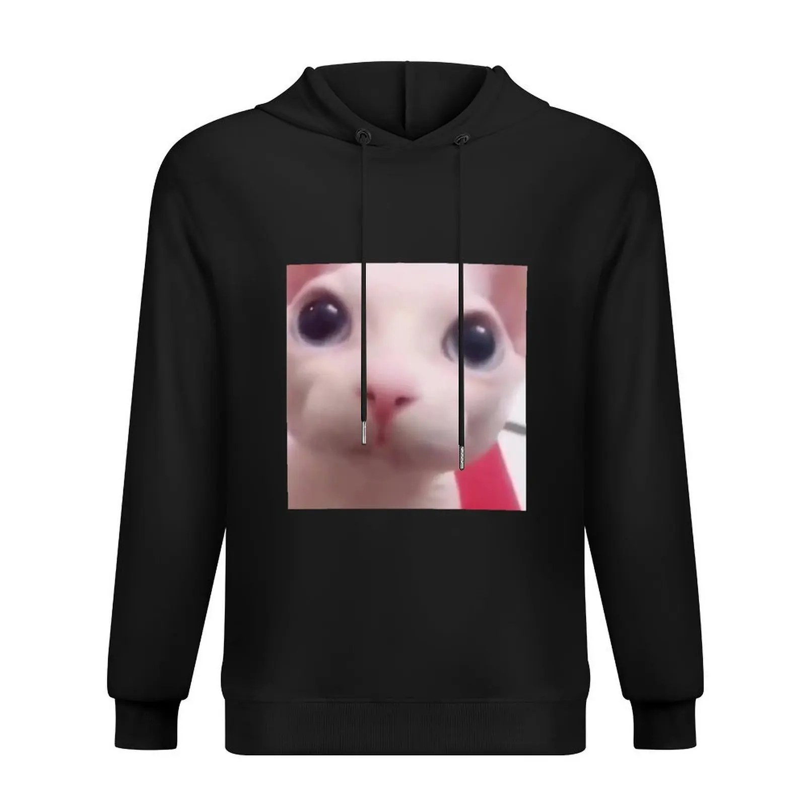 

bingus Hoodie autumn jacket men hooded shirt clothes for men men's sweat-shirt new hooded tee