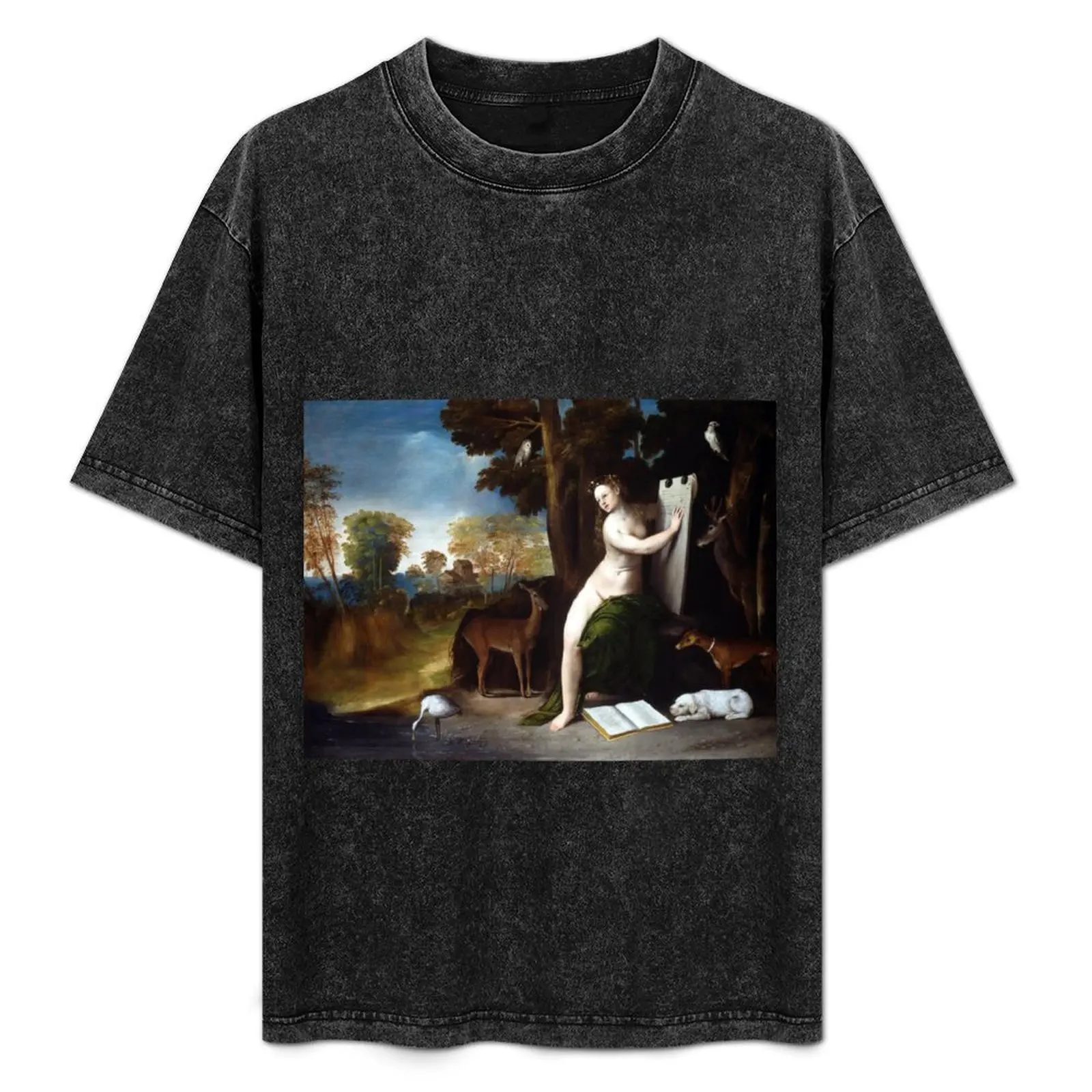 Dosso Dossi Circe and her Lovers in a Landscape T-Shirt baggy shirts man clothes men clothes