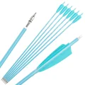 6pcs Spine500 Blue