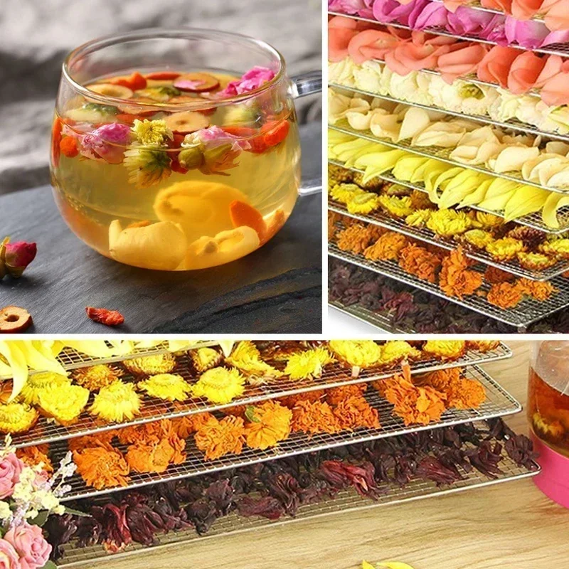 Fruit dryer stainless steel fruit and vegetable dehydration air dryer pet meat dried fish food dryer dehydrator food