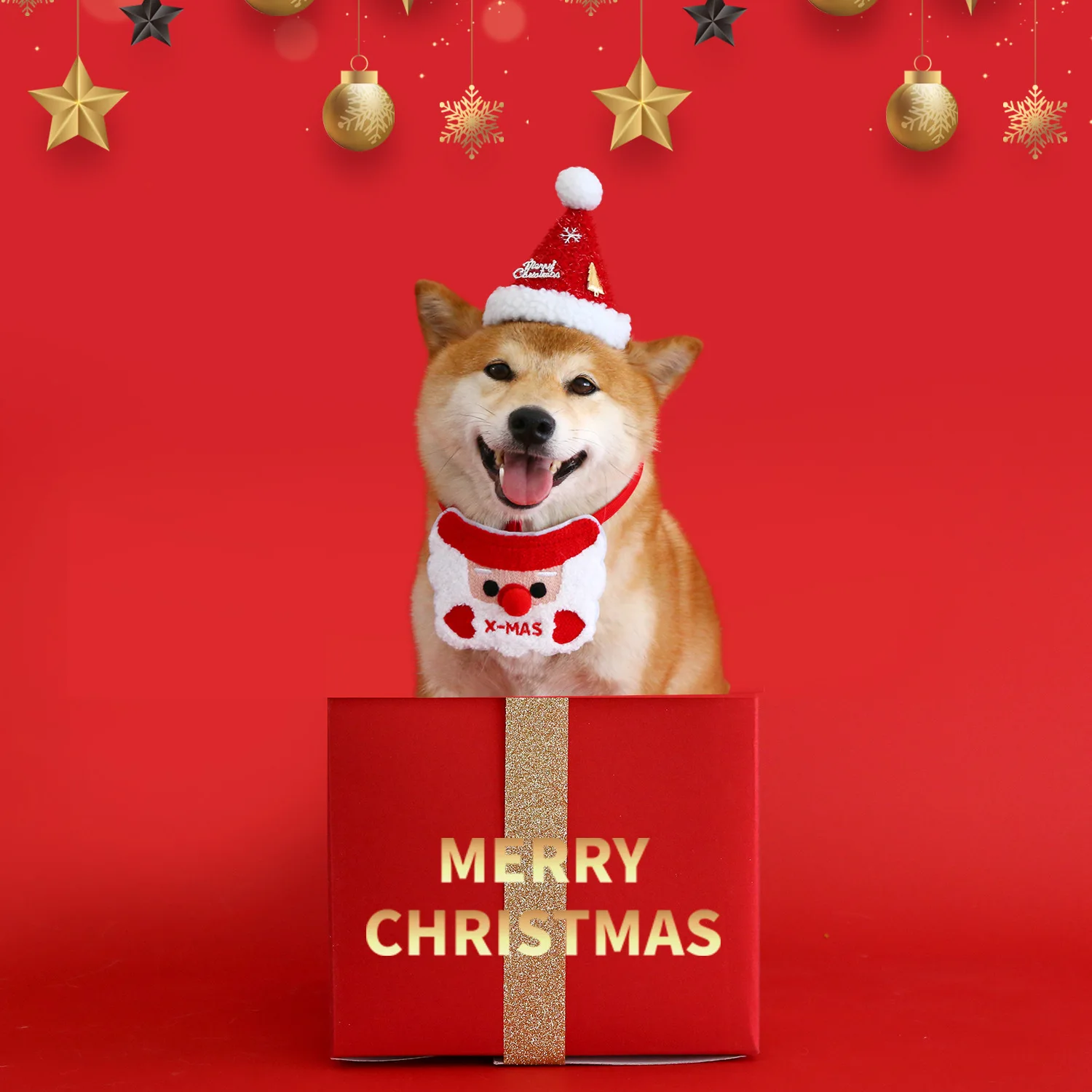 

Pet Christmas gift box toy hat bib plush set sound rope toy apple set Christmas gift to increase the sense of interactivity