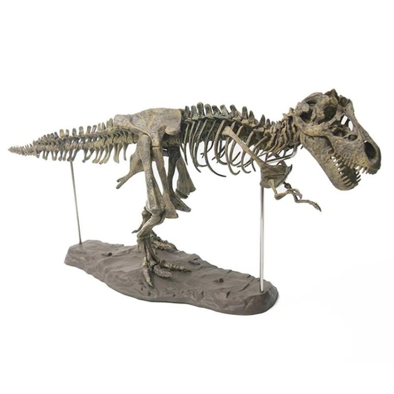 

Dinosaur Skeleton Model, Tabletop Decoration Assemble, The Micromodel Collection, T-Rex, 70cm