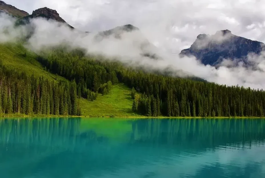 

Комплект рамок Flywoo FlyLens 75, 1,6-дюймовая рама для дрона FPV, совместимая с O3 Lite/O4/O4 PRO