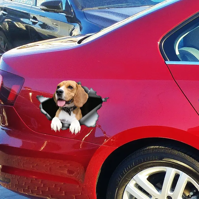 Funny car decal, Beagle decal, Beagle magnet, Beagle sticker, car decoration,car print