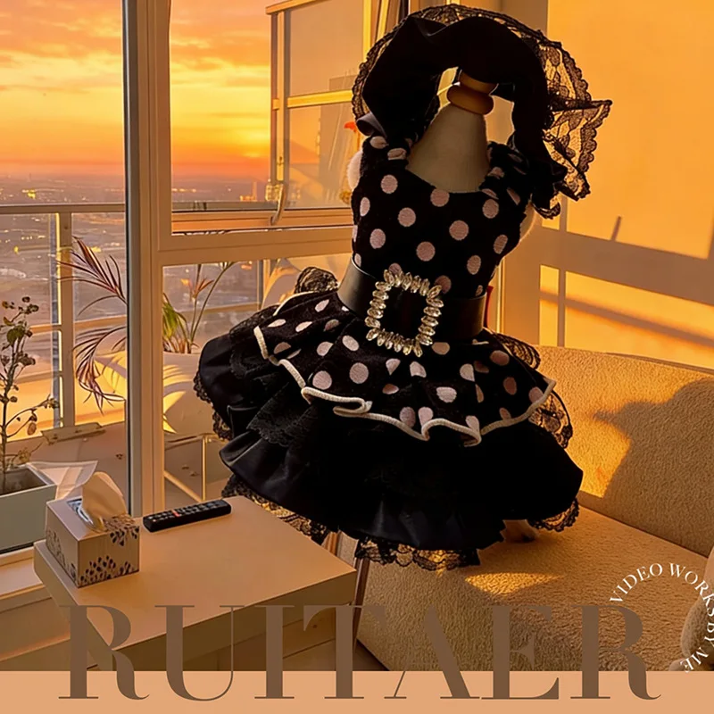 

Retro Elegant Black Pet Dog Clothes Fashion Vintage Dot Print Party Lace Princess Dress For Small Medium Dog 2026 Puppy Overalls
