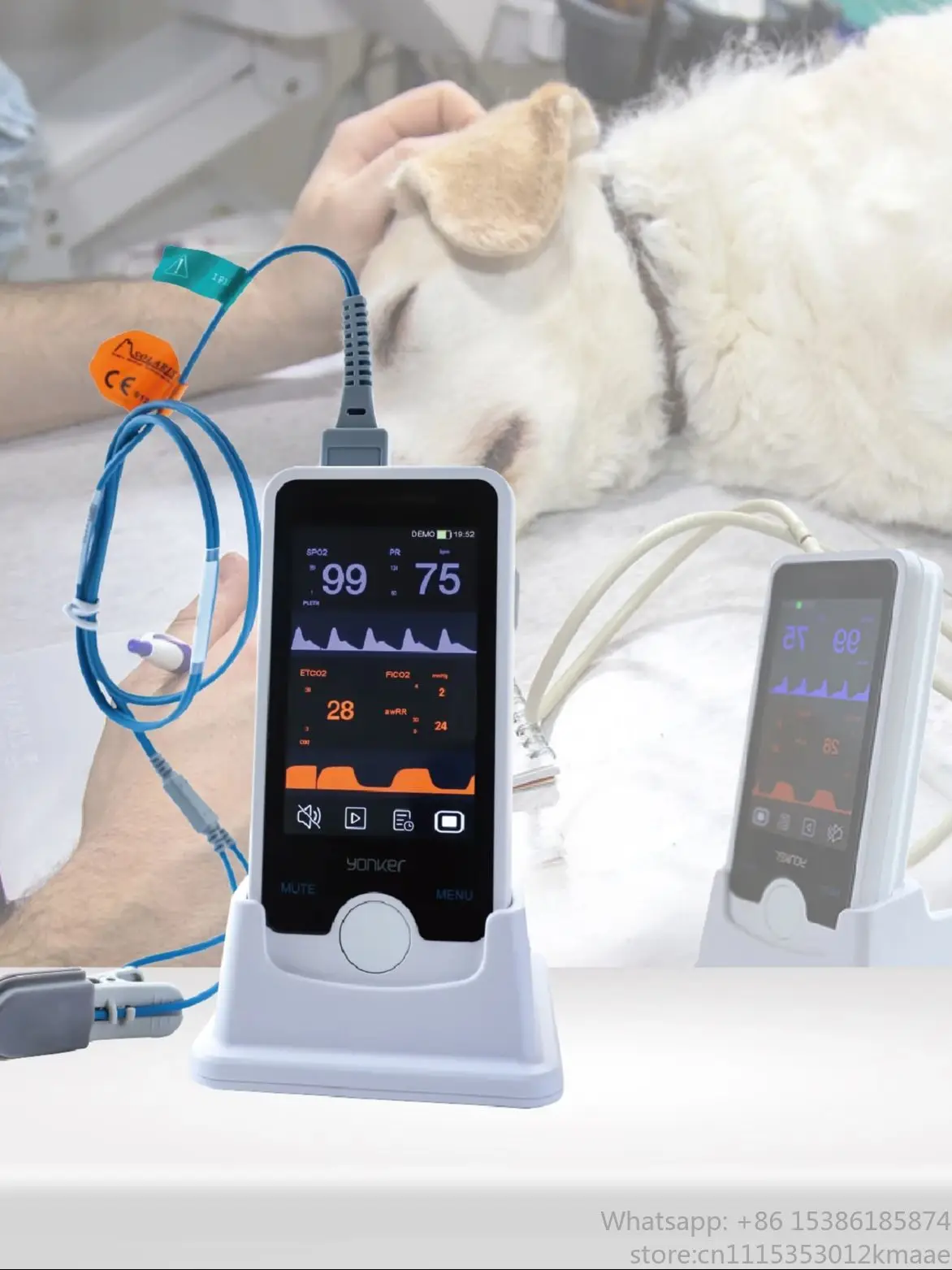 Vequyn Veterinary Pet Oximeter: Home Blood Oxygen Saturation, NIBP, and EtCO2 Life Monitoring Device