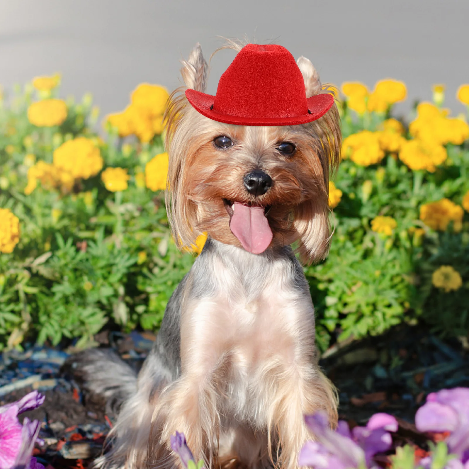 

Pet Cowboy Hat Non-Woven Material Chin Strap Adjustable Dog Cat Western Hat for Graduation Party Photography Pet Costume