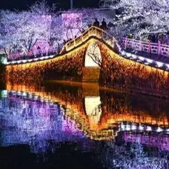 Veterinary Use BV-5…