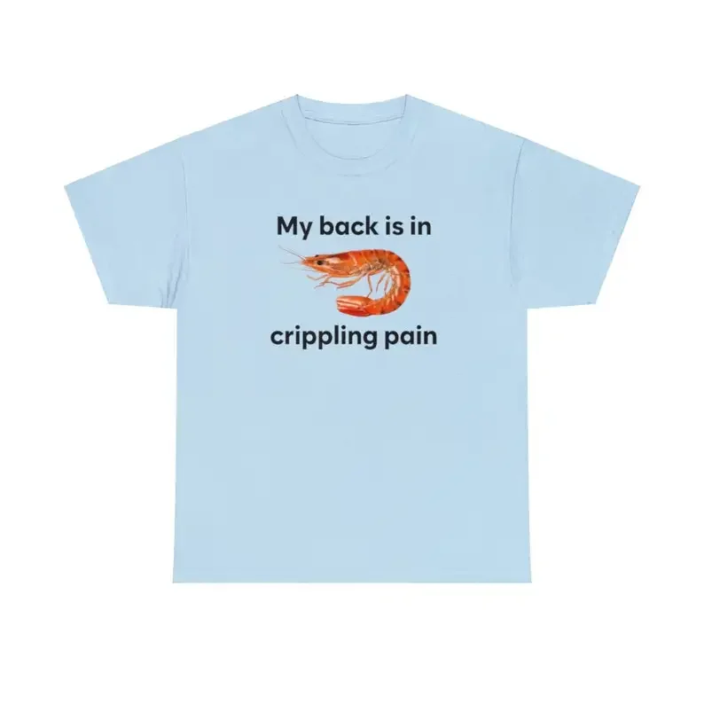 My Back Is Is In Crippling Pain Funny T Shirt Unisex