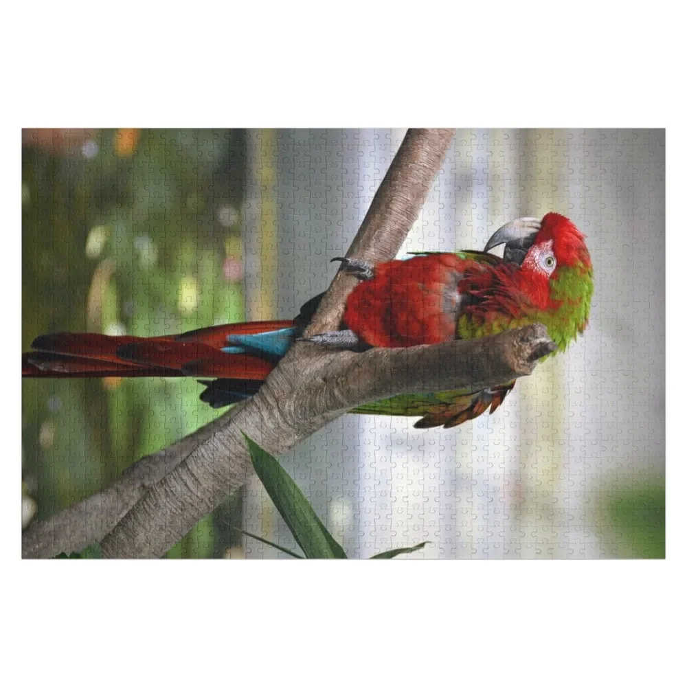 Colorful Parrot Jigsaw Puzzle Custom Gift Wood Animals Personalized For Kids Personalised Jigsaw Puzzle