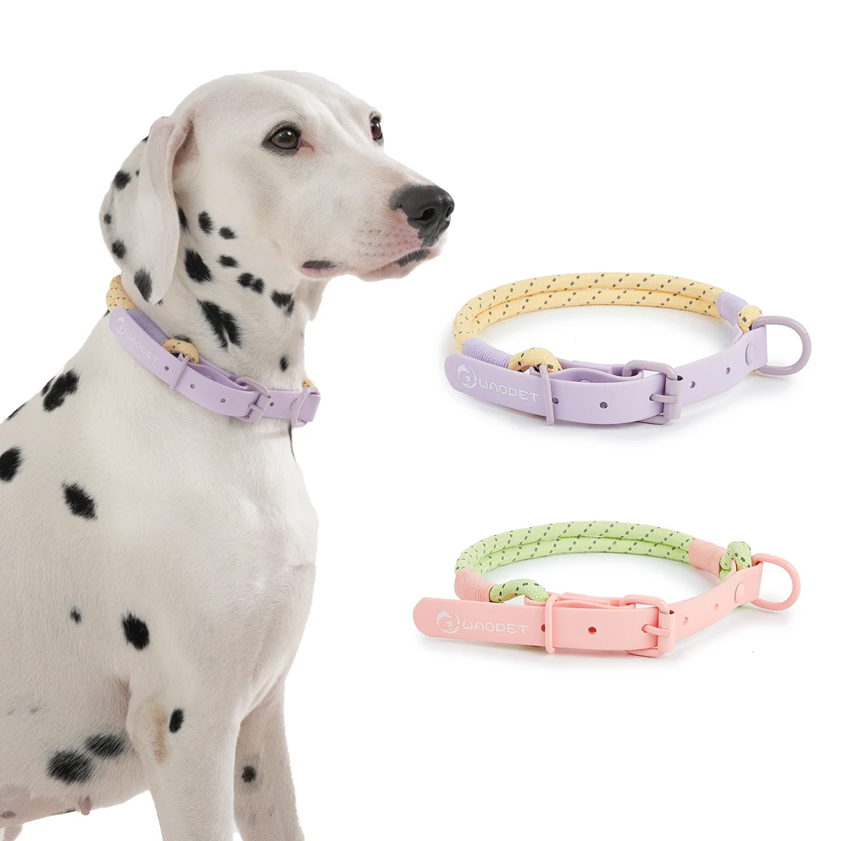 Pet Supplies Dog Collar For Small and Medium Dog Walking Sugar Color Series Cute style PVC Webbing Collar Leashes Set 2024 New