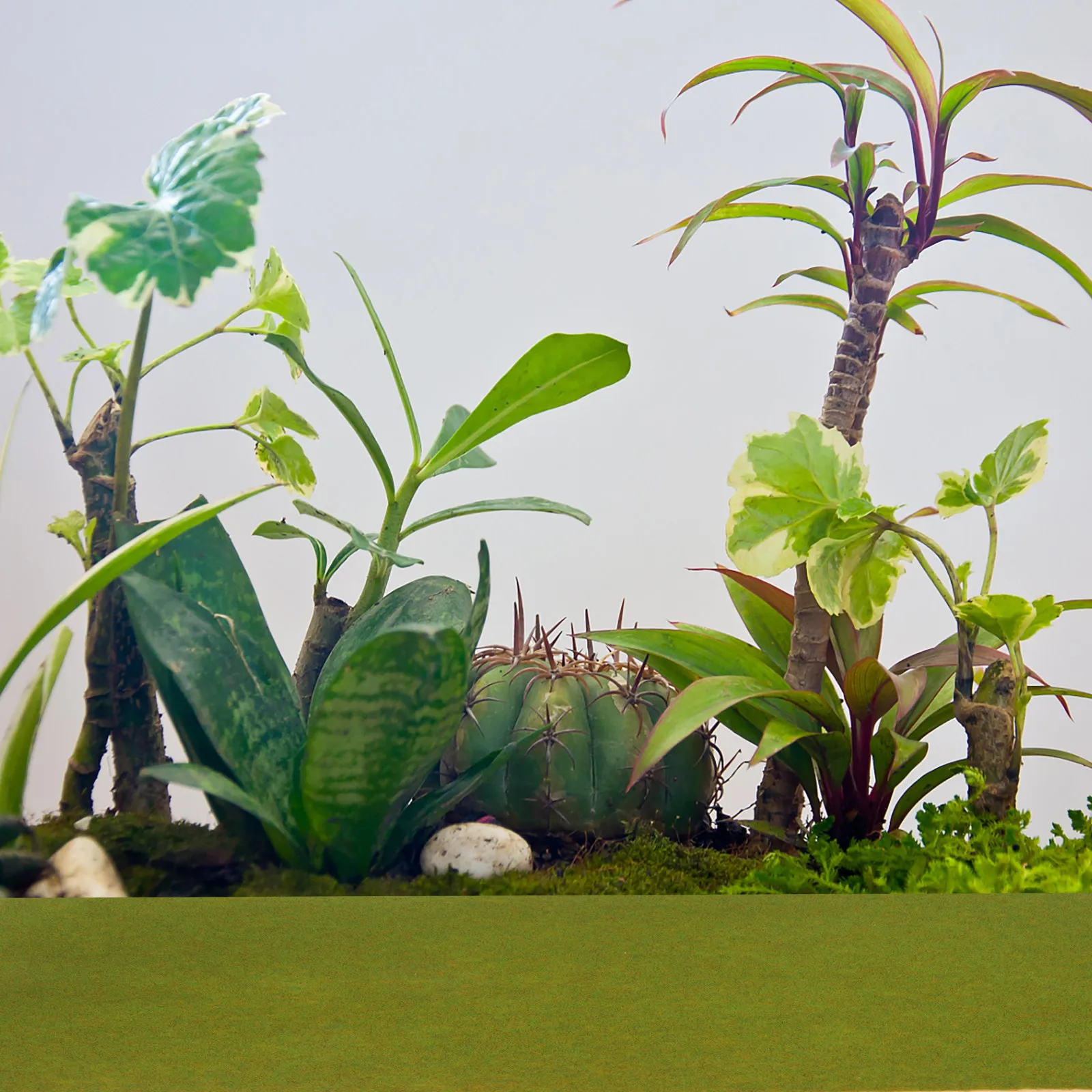 

Набор из 5 штук: Искусственный газонный коврик для песочницы, декор для ландшафтного дизайна, прочный, нарезаемый, для микроландшафта