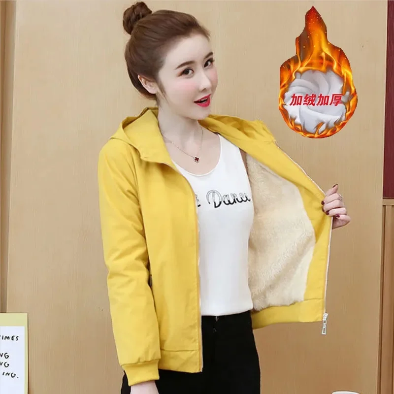 Women\'s Spring Autumn Short Fleece Jackets Women Long Sleeve Baseball Uniform Jacket Zipper Hooded Short Windbreaker