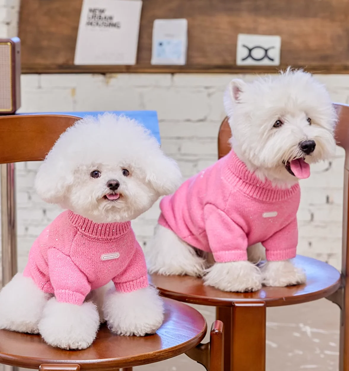 

Soft Cotton Sweater for Pets, Small Dog Clothing, Cute French Fries Printed, High Quality Design Jacket for Cats and Animals