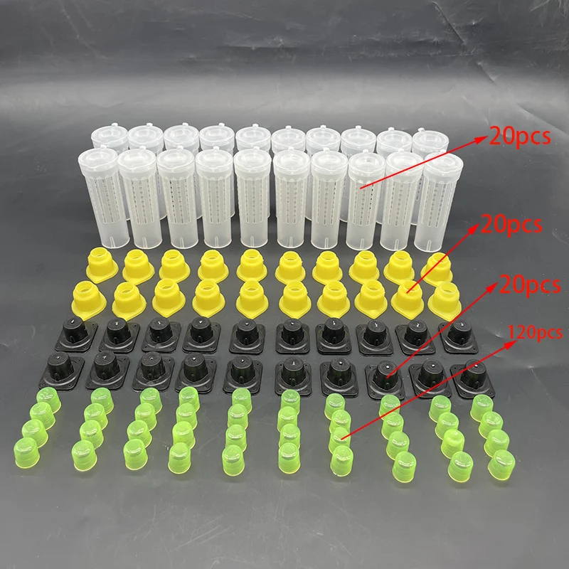 Kit Completo para Abelhas, Gaiolas, Rei e Rainha, Sistema de Rearing, Caixa Apanhadora, Copos Celulares, Gaiola, Nicot, 1 Conjunto