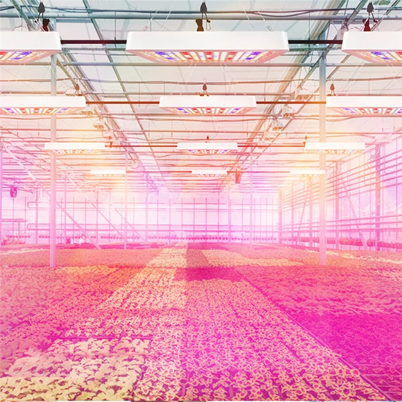 الولايات المتحدة التوصيل ، 240LED تنمو أضواء النبات الطيف الكامل الدفيئة تزايد مصباح للنباتات الداخلية الخضار المائية Phytolamp دائم