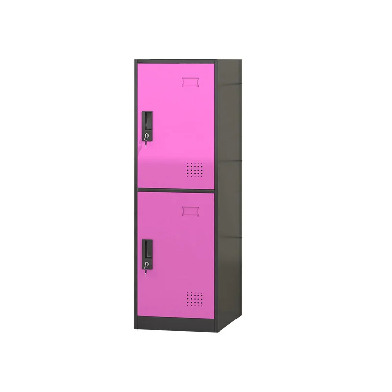 

Locker Steel Cabinet Storage with Lock 2 Doors Metal Cupboard for Office School Gym Changing Room