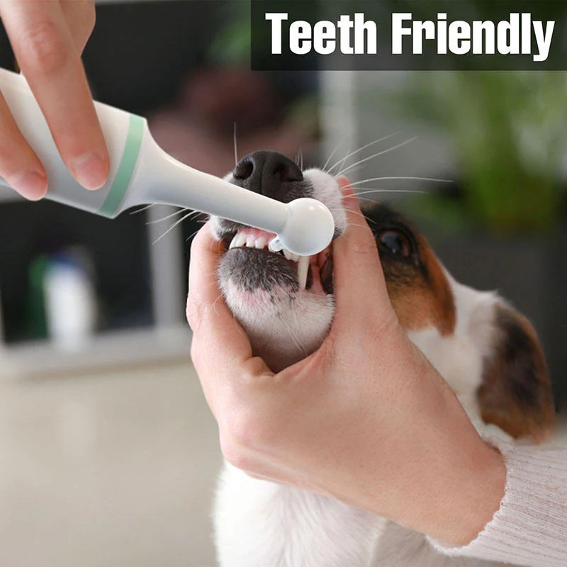 Pet Ultrasonic Toothbrush Dental Calculus Tooth Cleaner Home Clinic Use Electric Tooth Brush for Dogs