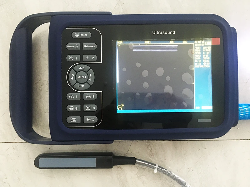 Cheap Veterinary Ultrasound Machine Portable Ultrasound for Bovine Equine with Rectal Probes