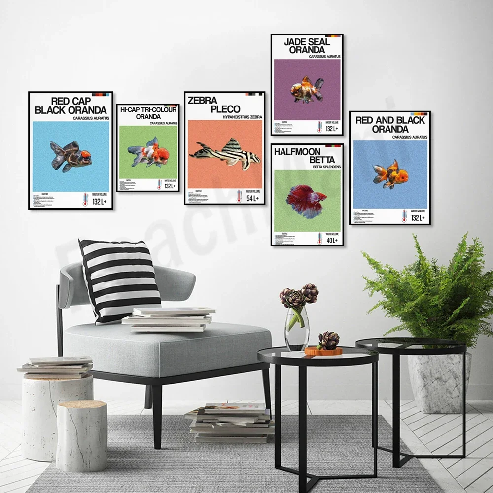 Fish information print, ornamental fish, halfmoon betta, zebra fish, tropical fish, aquarium decoration poster