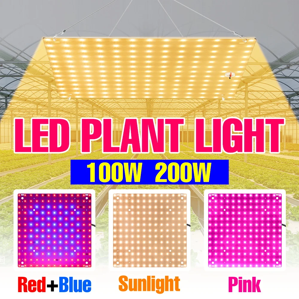 lampada-de-cultivo-led-de-espectro-completo-200w-quantum-board-para-plantas-flores-de-interior-estufas-e-caixas-de-crescimento-com-plugue-eua-ue