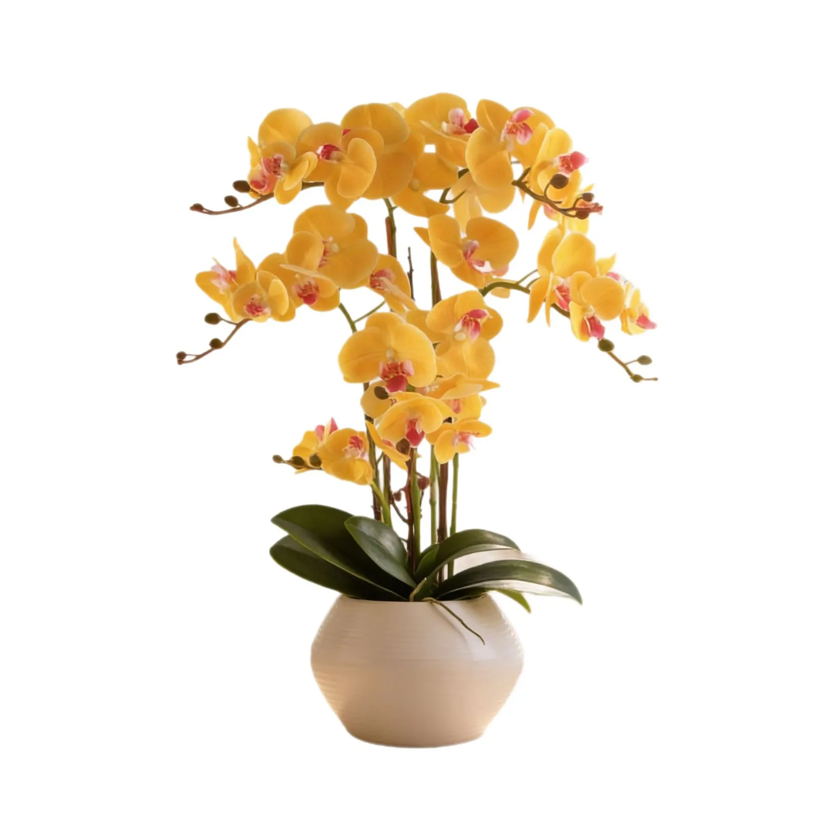Phalaenopsis Simulated Flower Orchid Light Luxury High-end Fake Flower Arrangement Dining Table Floral Ornament Silk Flower Arra