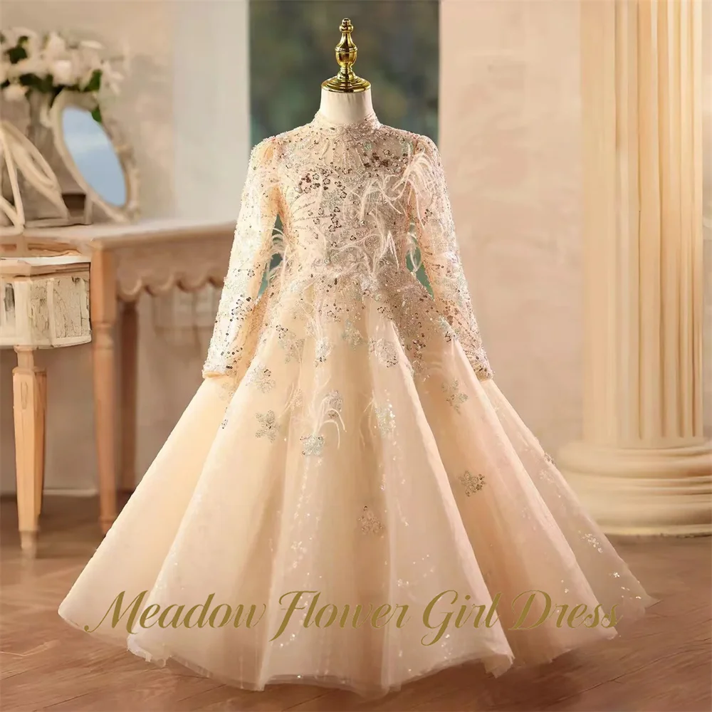 Meadow Champagne Kids Birthday Party Dress Round Neck Pageant Dress for Girl Long Sleeve eather Embellished First Communion Gown