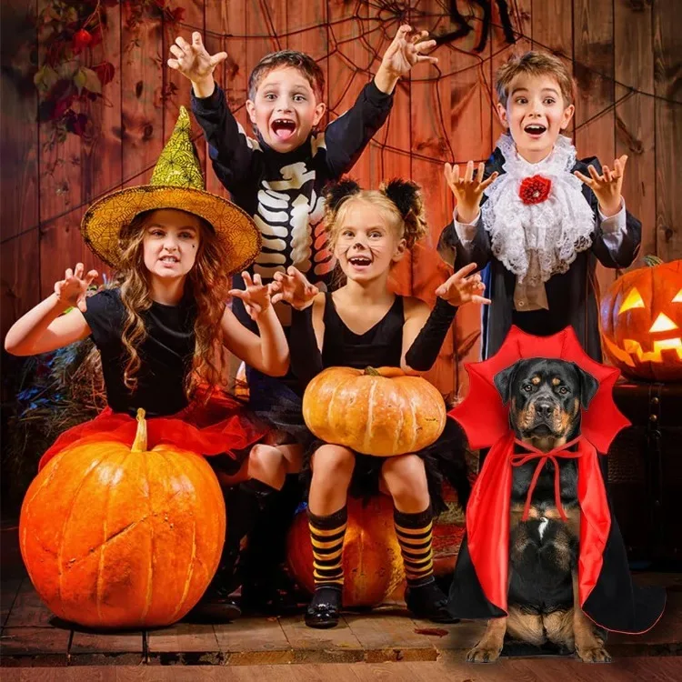 Halloween Pet Cape Costume Vampire Cloak Wizard Outfit Cosplay Apparel Party Costumes for Small Medium Dogs Cats Pet Supplies