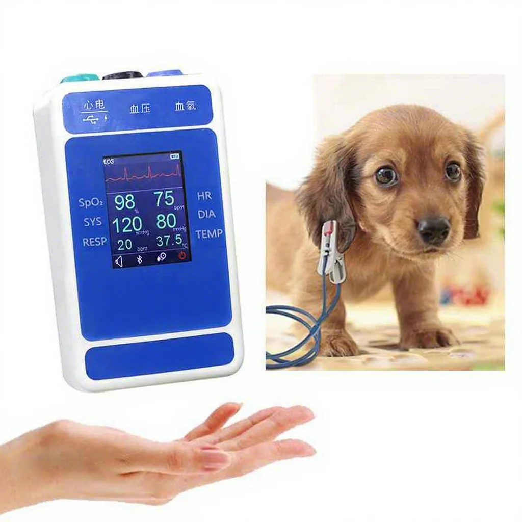 2026 KT-W027 Portable Cost-effective Veterinary Surgical Monitor with Multiparameter for Pet/Small Animal
