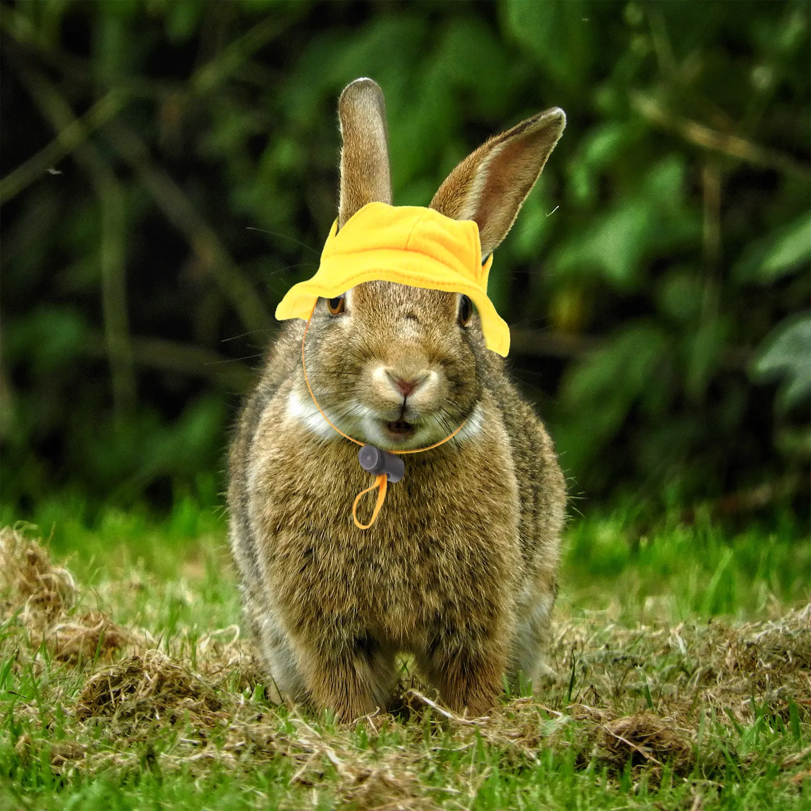 Small Pet Orange Hat Soft Felt Bunny Head Cover Mini Animal Cap Colorful Pet Clothing Accessory Guinea Pig Hat