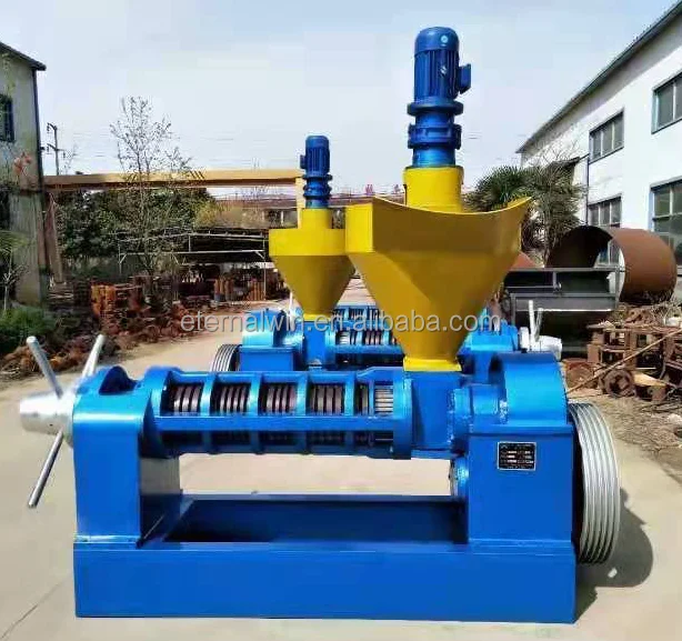 Flax Seed Soybean Baobab Seeds Cotton Seed  Oil Press Machine Cold Press Oil Extraction Machine